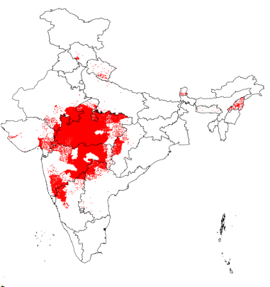 Soybean Cultivation in India